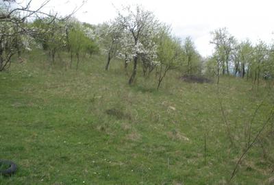 Teren Construcții intravilan în Băile Govora