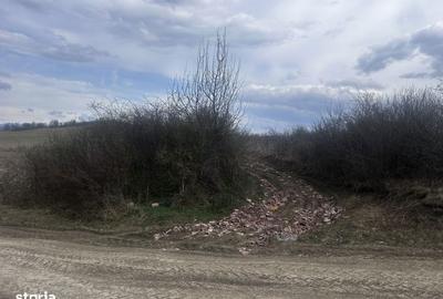 Teren de 5100 mp, în Central - 3