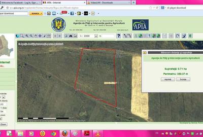 Teren de 23000 mp, în Vad - 3