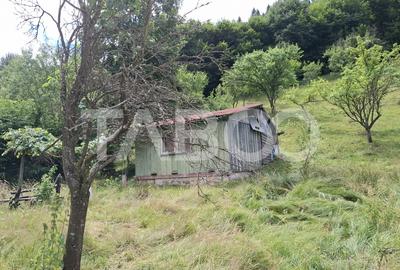 Teren 2500 mp la drum pe Valea Stezii Curmatura Rasinari - 4