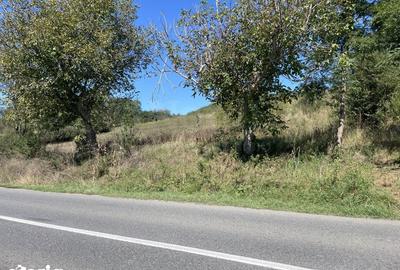 Teren de 1300 mp, în Roșia - 1