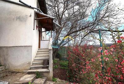 Apartament cu 3 camere în Podul Vadului - 11