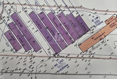 Teren de 23700 mp, în Sângeorgiu de Mureș - 3