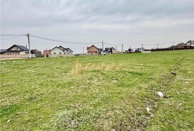 Teren Scheia | 20 ari | Intravilan | 50 ml front | ID: 1140 - 3