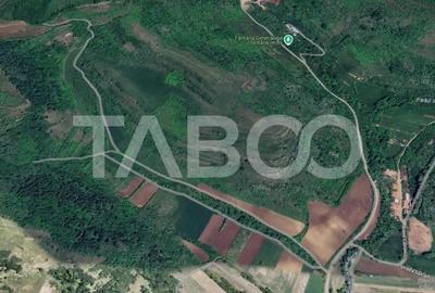 Teren de 10000 mp, în Gușterița - 1