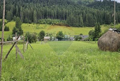Teren intravilan 4822 mp C. Moldovenesc, Suceava - 9
