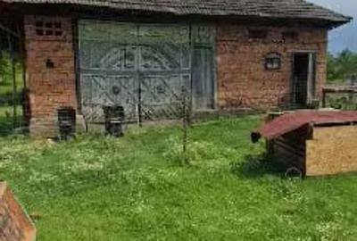 Casă cu 1 camere în Mânău - 3