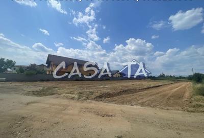 Parcele de Vanzare, Calea Bucuresti - Aleea Sfantu Dumitru - 11