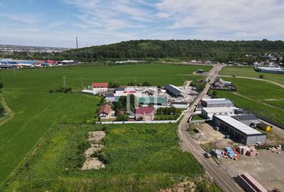 Teren 4.844mp intravilan Scheia | Suceava - 5