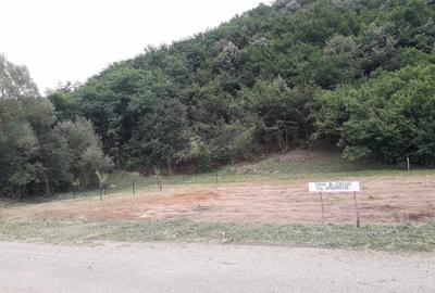 Spațiu comercial, în Uileacu Șimleului - 4