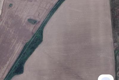 Vand teren agricol Buzias - 1