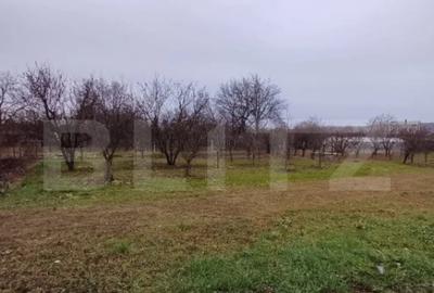 Teren de 2497 mp, în Turda - 3