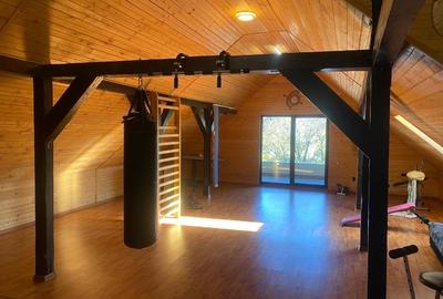 Proprietar - Casă deosebită de vanzare/închiriere Dumbrăvița, jud Timis - 14