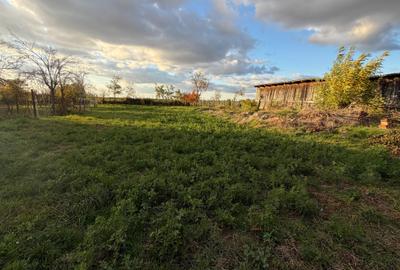 Casă de vânzare în Berveni - 2