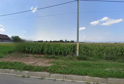 Teren de 5000 mp, în Răcăuți - 3