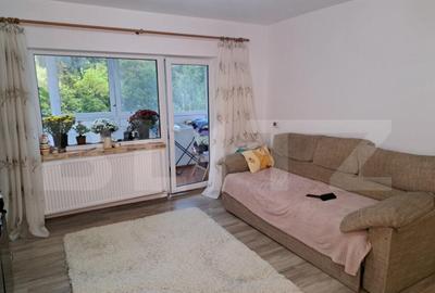 Apartament cu priveli?te superba catre munte ?i padure - 3