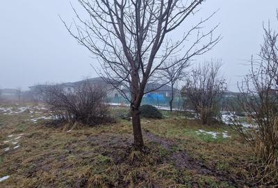 Fara Comision! Casa P+M cu 5 ari teren în zona linistita, Sasar - 7