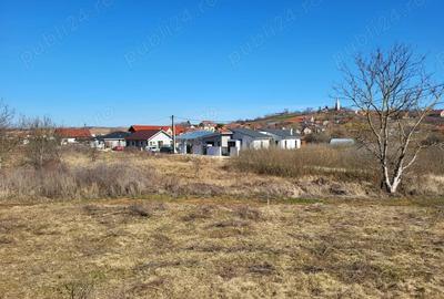 Teren de 647 mp, în Paleu - 1