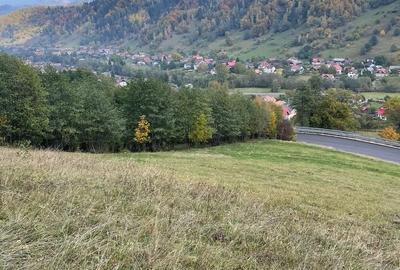 Teren extravilan cu priveliste catre Bucegi – Moieciu de Jos 4.700 mp - 8