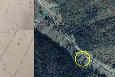 Teren de 9172 mp, în Pintic - 1