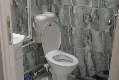 Garsonera de lnchiriat - 4