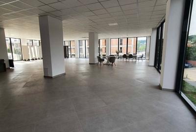 Spatiu comercial, open space ,330 mp , 90% vitrat