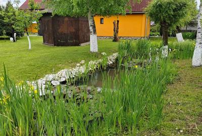 Casă cu 4 camere în Central - 2