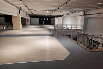 Spatii Comerciale - 500 mp - Showroom - Comert - 7