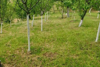 Casă în Orevița Mare - 1