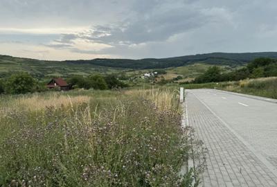 Teren Construcții intravilan de 803 mp, în Borhanci - 3