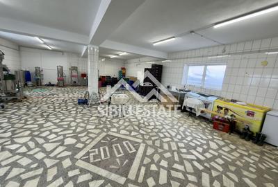 Spatiu productie zona Selimbar, pretabil alimentatie, productie - 2