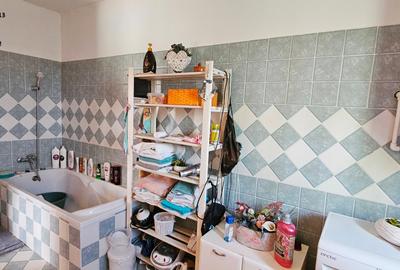 Proprietate Slobozia-Roznov, casa mansardata, teren si livada - 15