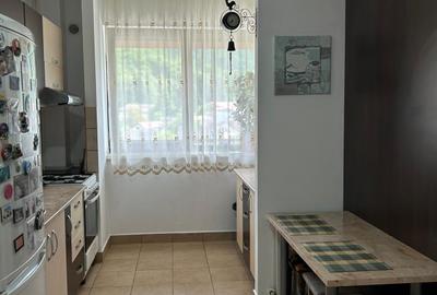 Apartament deosebit cu doua camere, Lacul Noua. - 3