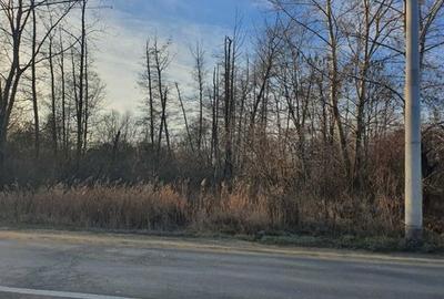 Teren de 24428 mp, în Stăncești - 6