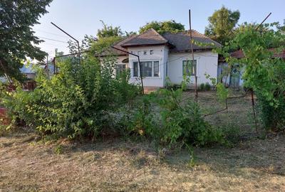 Spațiu comercial, în Picior de Munte - 1