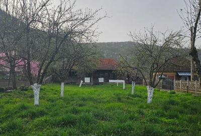 Casă cu 3 camere în Ocișor - 8