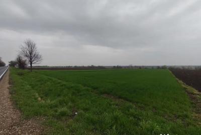 Teren de 6000 mp, în Horodnic - 1