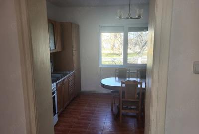 Casă cu 4 camere cu Teren 560 Mp în Șagu - 6