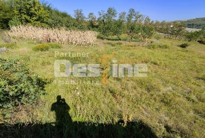 Casă individuală cu 4 camere cu Teren 6400 Mp în Hărpășești - 16