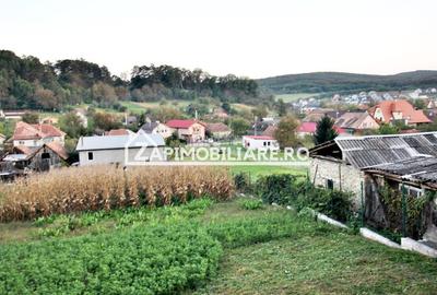 De vanzare 2 case cu 4.900 mp teren, Livezeni 0% comision - 6