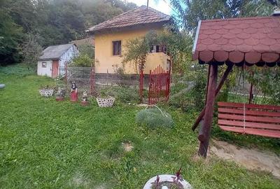 Case si teren 5600 mp in Cepari Arges - 4