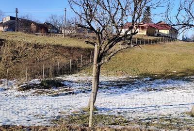 Teren de 1253 mp, în Remecioara - 6