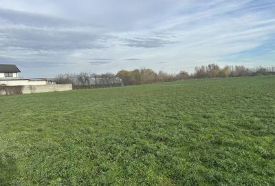 Teren de 4330 mp, în Vidra - 1