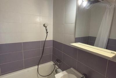 Apartament cu 2 camere semidecomandat, mobilat în Parcul Carol - 9