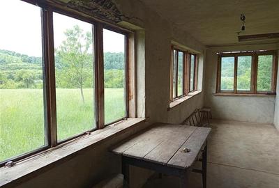 Teren agricol extravilan de 16000 mp, în Borlovenii Noi - 20