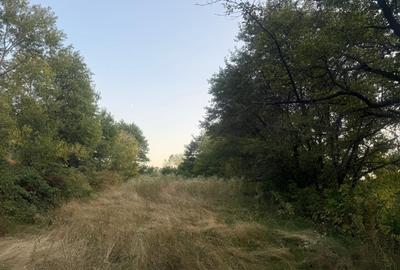 Teren de 1700 mp, în Lerești