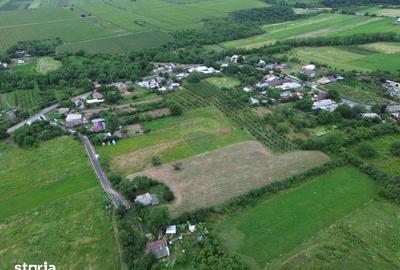 Teren de 4229 mp, în Cârligele - 5