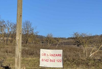 Teren de vanzare - 2