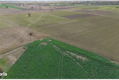 Spațiu comercial, în Central - 4