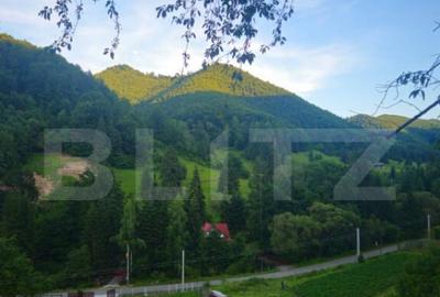 Teren de vanzare, 10.000 mp - Bistrita Bargaului, zona turis - 2